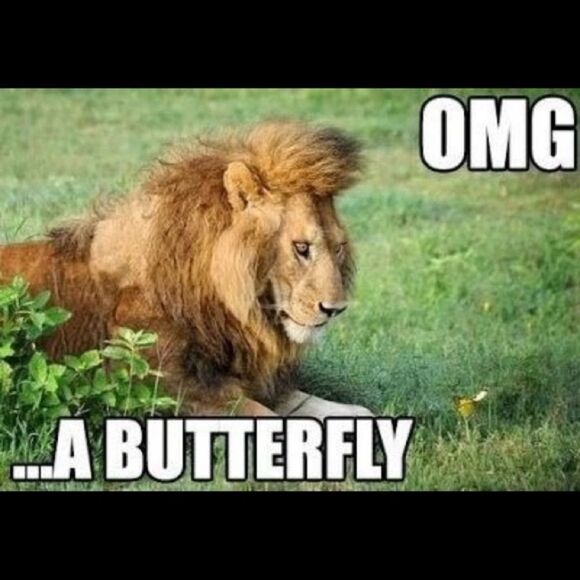 10/$25🦋 Forever 21 Gray Glitter Ruched Racerback Tank - Size Large - Picture 10 of 10